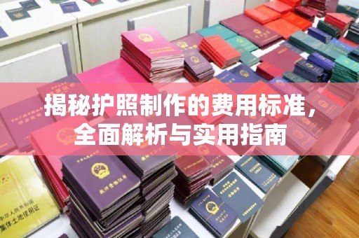 新宾揭秘护照制作的费用标准，全面解析与实用指南